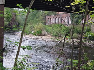 Stockport, Portwood, River Goyt 6479