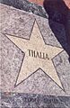 Thalia-star-miami
