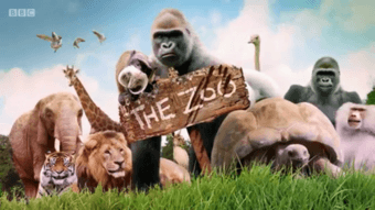 The Zoo (2017 TV series) title.png
