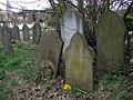 The grave of an anarchist in Ladywell cemetery - geograph.org.uk - 1290690