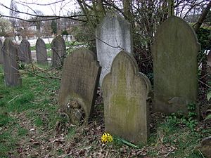 The grave of an anarchist in Ladywell cemetery - geograph.org.uk - 1290690.jpg