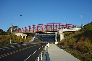 Welcome Bay Link shared path bridge 004