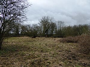 Weston Fen, Oxfordshire (3)