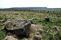 Whitcastles Stone Circle - geograph.org.uk - 2165337