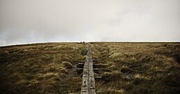 White Hill Boardwalk