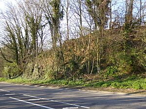 Winchelsea Cutting (1)