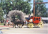 Wy Jackson tsquare stagecoach