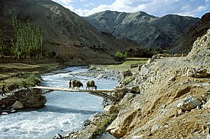 The Walna river, Wanla village, Zanskar