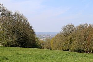A view north at the west of High Beech, Essex, England