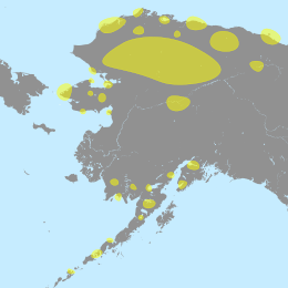Alaska Denbigh Site Map