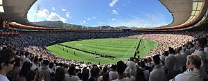 All Whites v Peru 11 November 2017