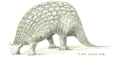 Ankylosaurus; from Offensive weapons and means of defense of fossil vertebrates (Abel 1908)