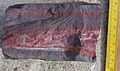 Banded Iron Formation Barberton