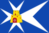 Flag of Aliaga