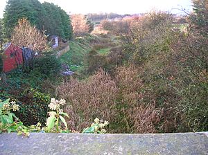 Barrmill and Dockra railways