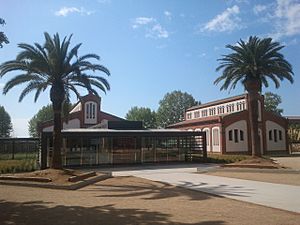 Biblioteca Pública Antoni Comas, al Pati de l'Escorxador de Mataró