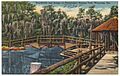 Boardwalk and bridge at Okefenokee Swamp Park, Waycross, Ga. (8343892368)