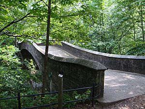 Bridge - panoramio (9)
