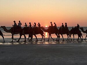 Broome Cable Beach and camels