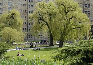 Campus-westend-park-am-poelzig-bau-2008-05-05-2