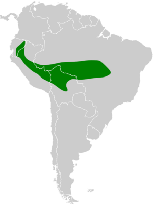 Chaetura egregia map.svg