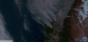 Chile wildfire 3 feb 2023 fire