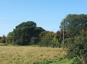Church Meadow local nature reserve - geograph.org.uk - 997123 cropped