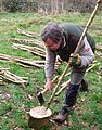 Clive Leeke sharpening a hedge stake