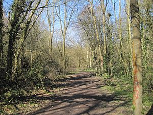 Crofton Wood path.JPG