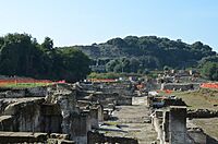 Cumae acropolis seen from lower city AvL