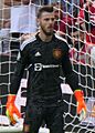 De Gea Man United v Brighton (cropped)