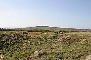 Detail of outer rampart of Iron Age hillfort on Jenny's Lantern - geograph.org.uk - 1209322