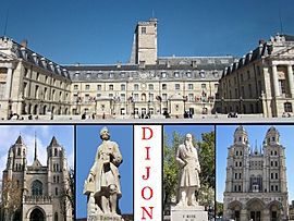 Top: Dijon City Hall, Bottom: Saint Benigne Cathedral, Statue of Jean-Philippe Rameau, Statue of Francois Rude, Saint Michel Church