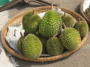 Durians Markt Thailand