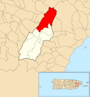 Location of El Río within the municipality of Las Piedras shown in red