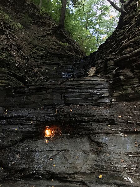 Eternal Flame Trail, Chestnut Ridge Park - 20200922 - 32