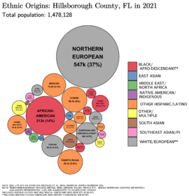 Ethnic Origins in Hillsborough County, FL