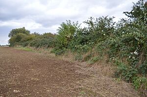 Eye Gravel Pit 2