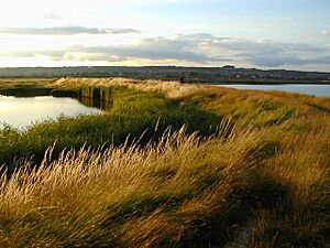 Farlington Marshes eastern side - geograph.org.uk - 422709