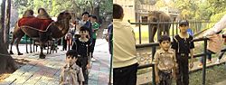 Foreigners at Nanjing Zoo.JPG