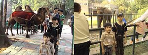 Foreigners at Nanjing Zoo