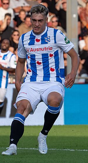 GAE - SC Heerenveen - Ion Nicolaescu