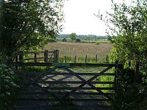Gate leading to the nature reserve - geograph.org.uk - 180179.jpg