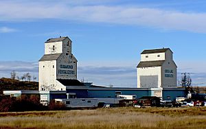 Grain elevators De Winton Alberta. (8096391073).jpg