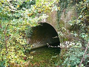 Greywell Tunnel east portal.jpg