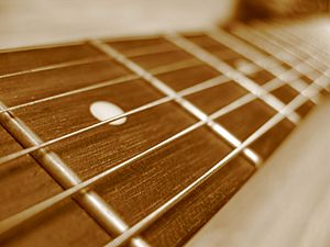 Guitar fretboard closeup