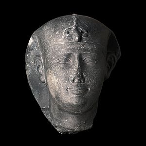 Head of Nectanebo II, Museum of Fine Arts of Lyon