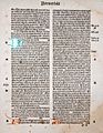 Incunabulum Blackletter Bible 1497