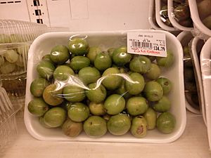 Jobo (Spondias mombin) fruit
