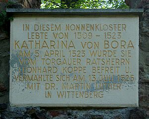 Klosternimbschen bora